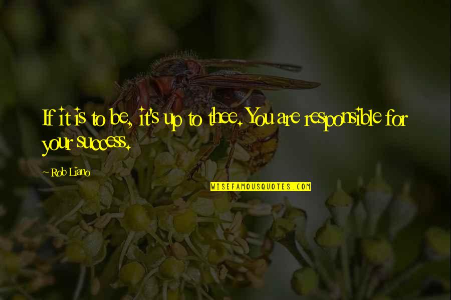 Motivation For Success Quotes By Rob Liano: If it is to be, it's up to
