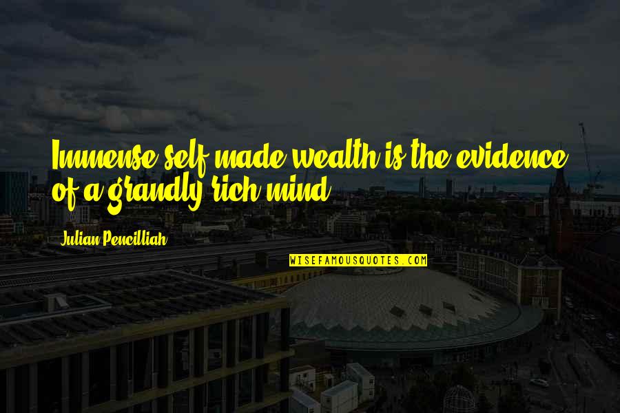 Motivation To Be Rich Quotes By Julian Pencilliah: Immense self-made wealth is the evidence of a