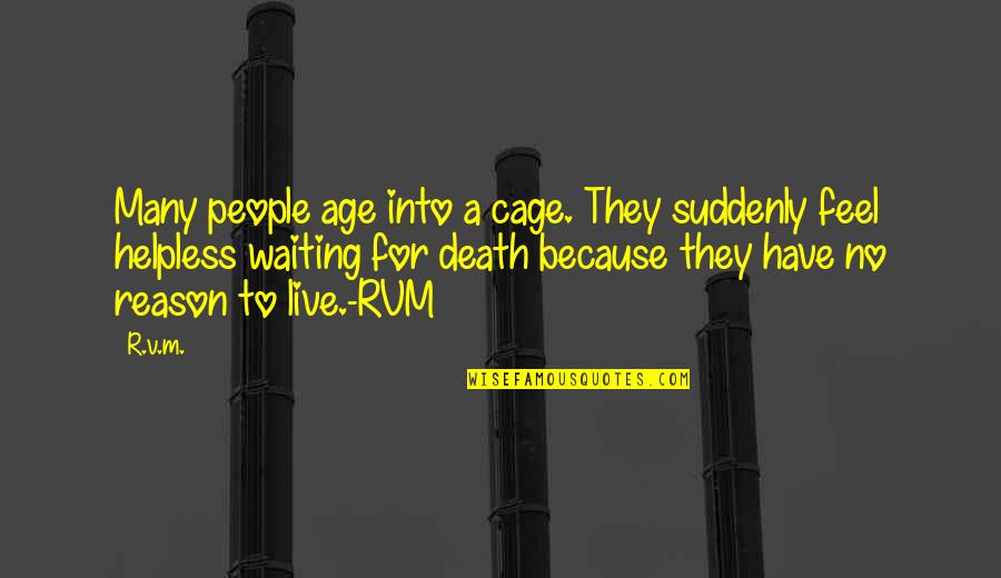 Motivational Age Quotes By R.v.m.: Many people age into a cage. They suddenly