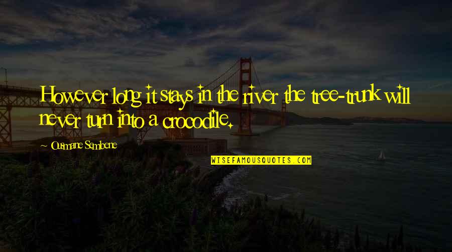 Motivational Appearance Quotes By Ousmane Sembene: However long it stays in the river the Motivational Appearance Quotes By Ousmane Sembene: However long it stays in the river the