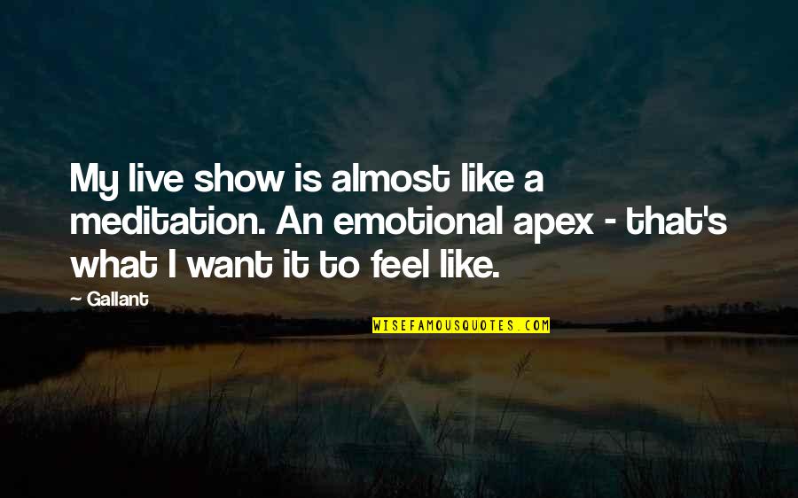 Motivational Bodybuilder Quotes By Gallant: My live show is almost like a meditation.