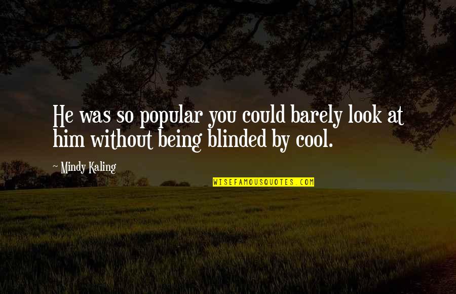 Motivational Hvac Quotes By Mindy Kaling: He was so popular you could barely look