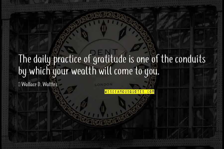 Motivational Mirror Quotes By Wallace D. Wattles: The daily practice of gratitude is one of