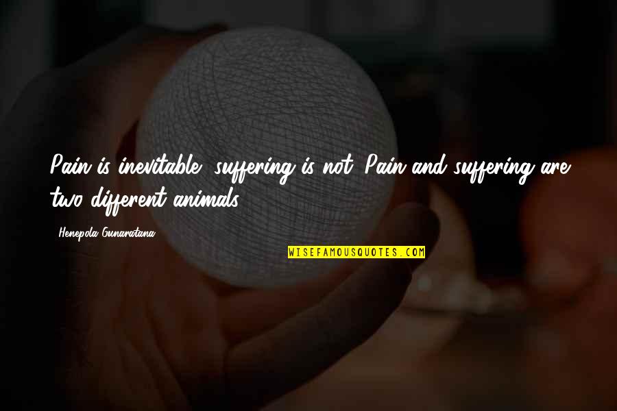 Motivational Nfl Quotes By Henepola Gunaratana: Pain is inevitable, suffering is not. Pain and