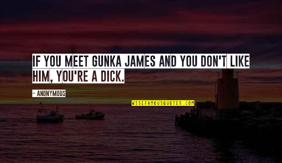Motivational Penguin Quotes By Anonymous: If you meet Gunka James and you don't