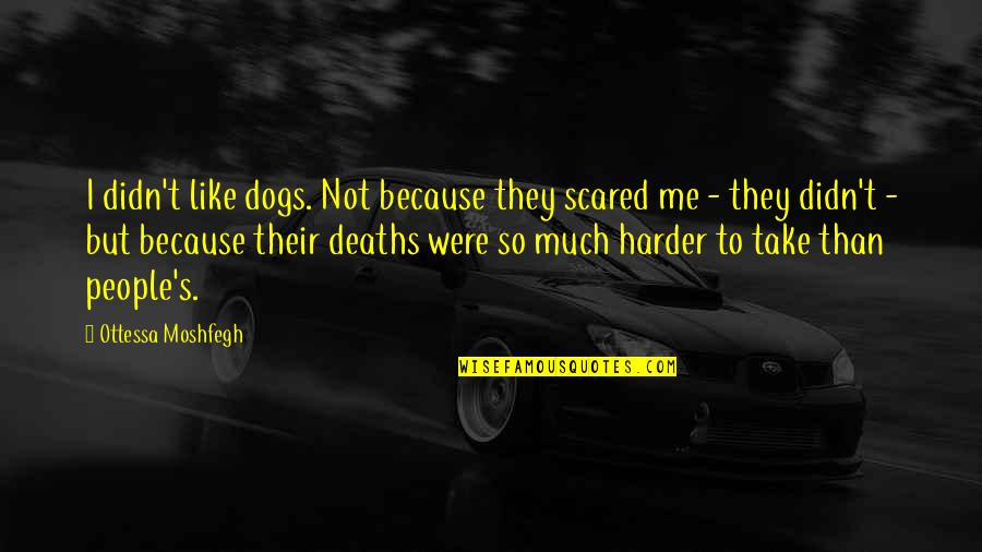 Motivational Programming Quotes By Ottessa Moshfegh: I didn't like dogs. Not because they scared