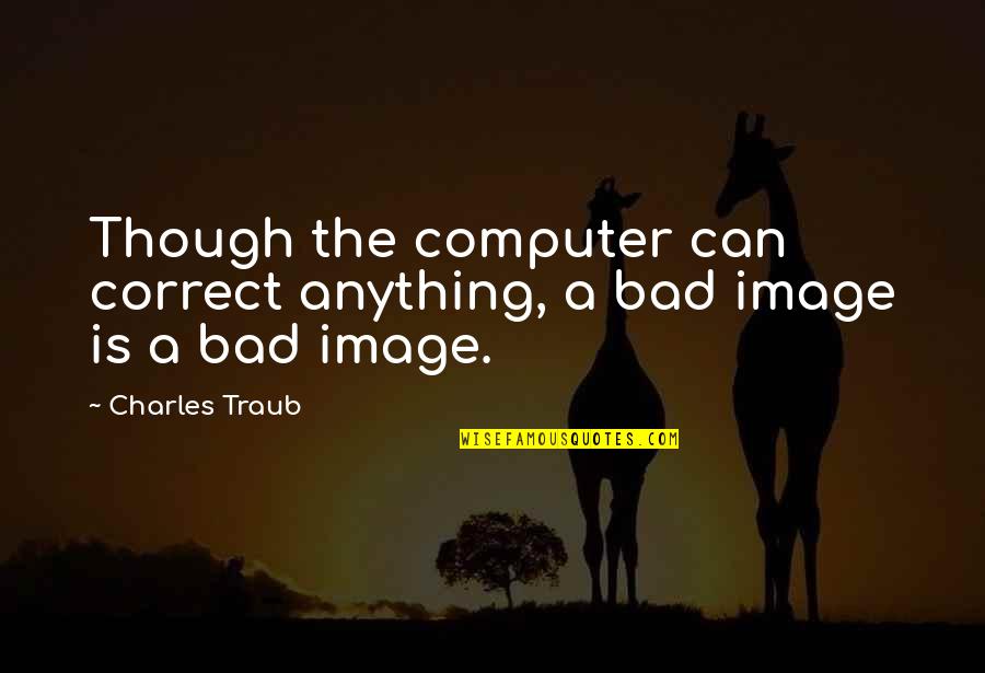 Motivational Proud Single Mother Quotes By Charles Traub: Though the computer can correct anything, a bad