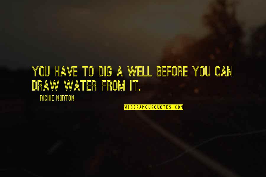 Motivational Work Quotes By Richie Norton: You have to dig a well before you