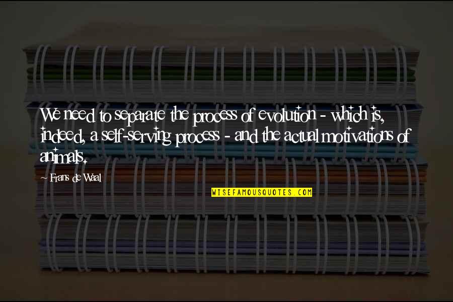 Motivations Quotes By Frans De Waal: We need to separate the process of evolution