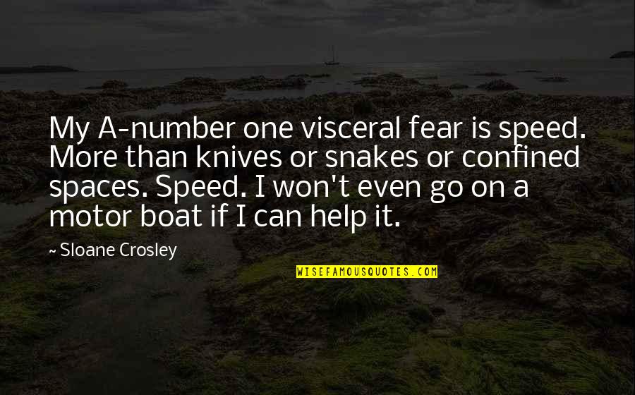 Motor Boat Quotes By Sloane Crosley: My A-number one visceral fear is speed. More