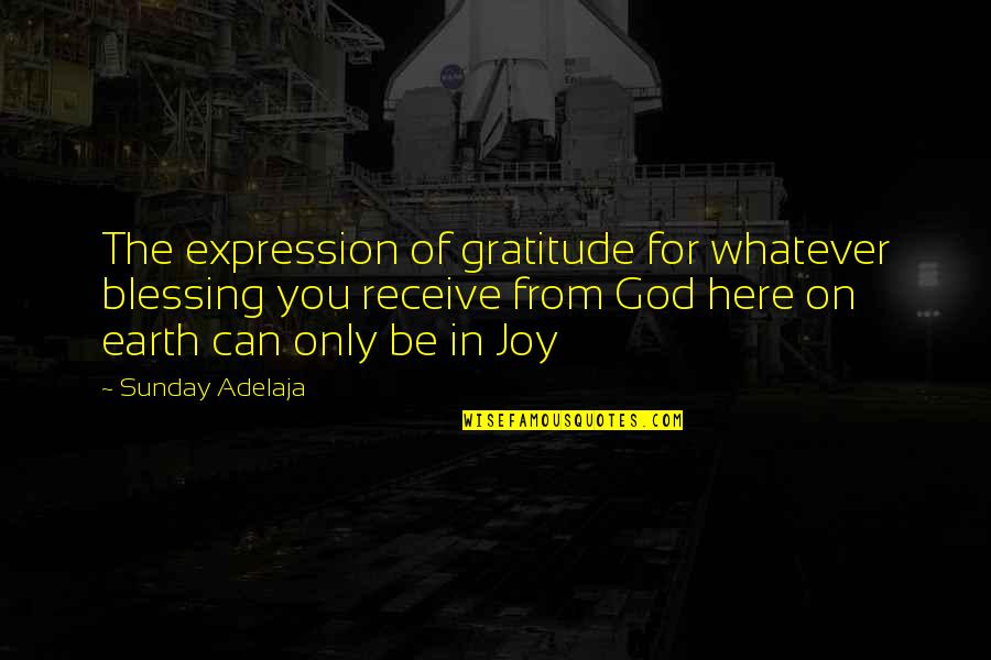 Motorcycle Stunt Riding Quotes By Sunday Adelaja: The expression of gratitude for whatever blessing you