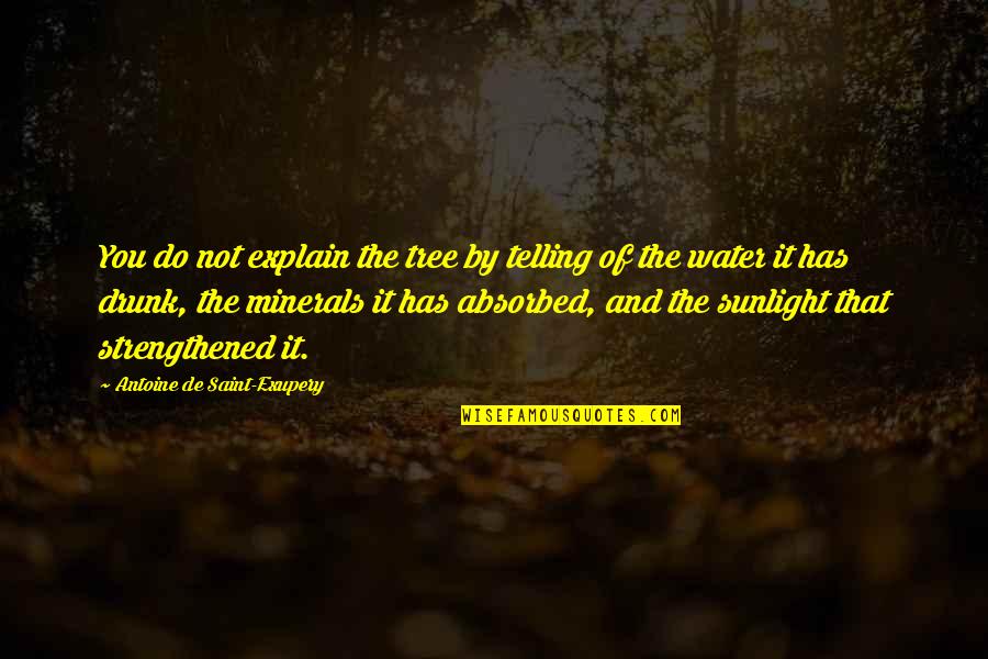 Motorul Wankel Quotes By Antoine De Saint-Exupery: You do not explain the tree by telling Motorul Wankel Quotes By Antoine De Saint-Exupery: You do not explain the tree by telling