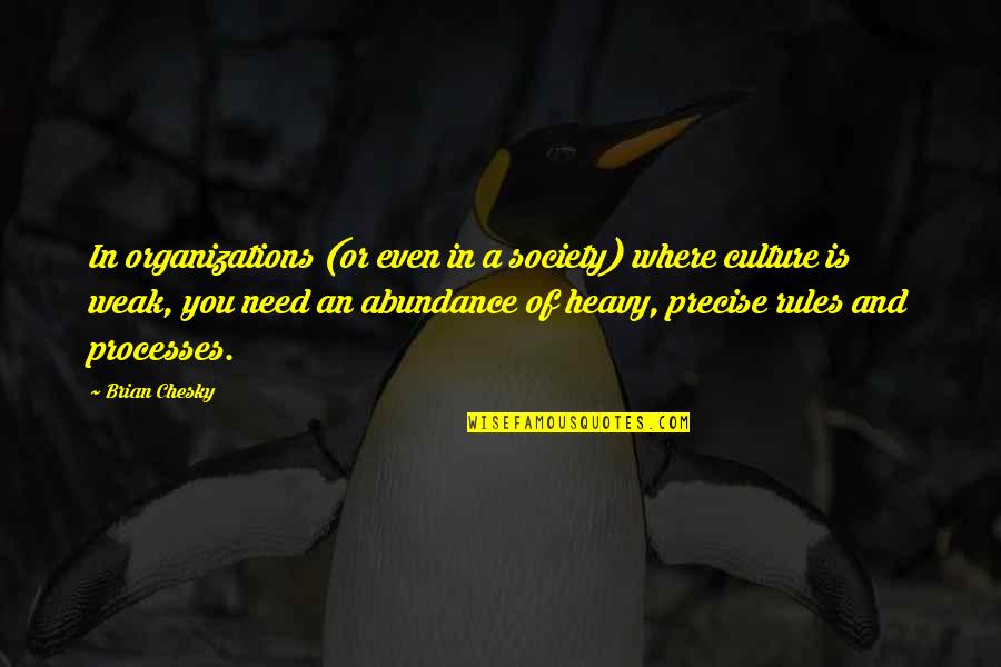 Mouillet D Finition Quotes By Brian Chesky: In organizations (or even in a society) where Mouillet D Finition Quotes By Brian Chesky: In organizations (or even in a society) where