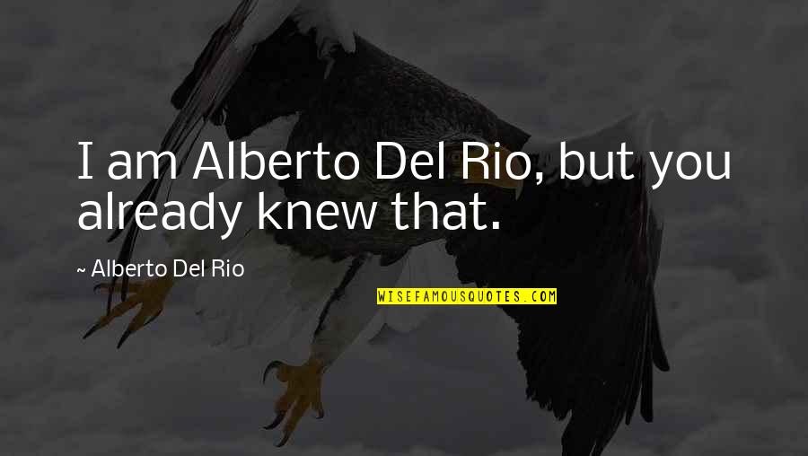 Mount Holyoke Quotes By Alberto Del Rio: I am Alberto Del Rio, but you already