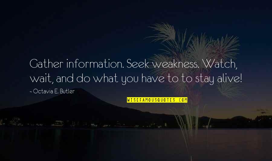 Mount Kinabalu Quotes By Octavia E. Butler: Gather information. Seek weakness. Watch, wait, and do