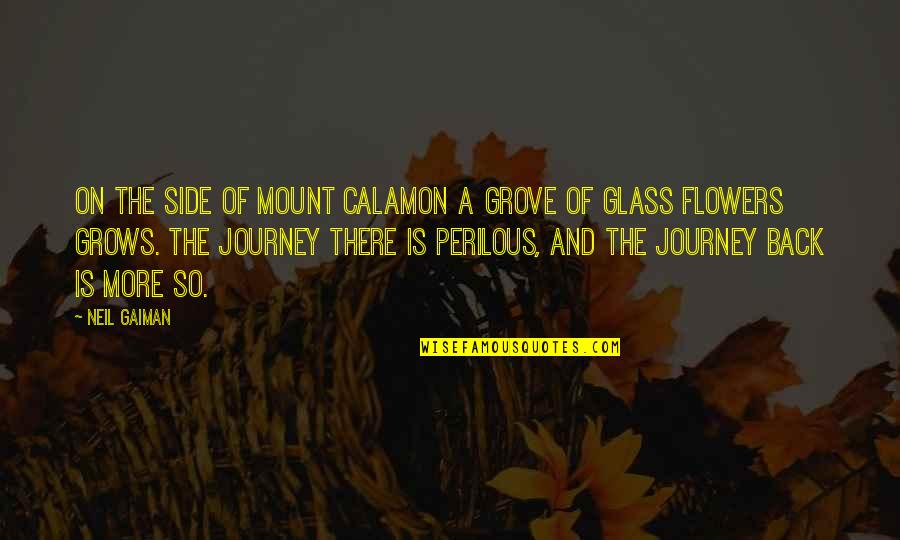 Mount Quotes By Neil Gaiman: On the side of Mount Calamon a grove