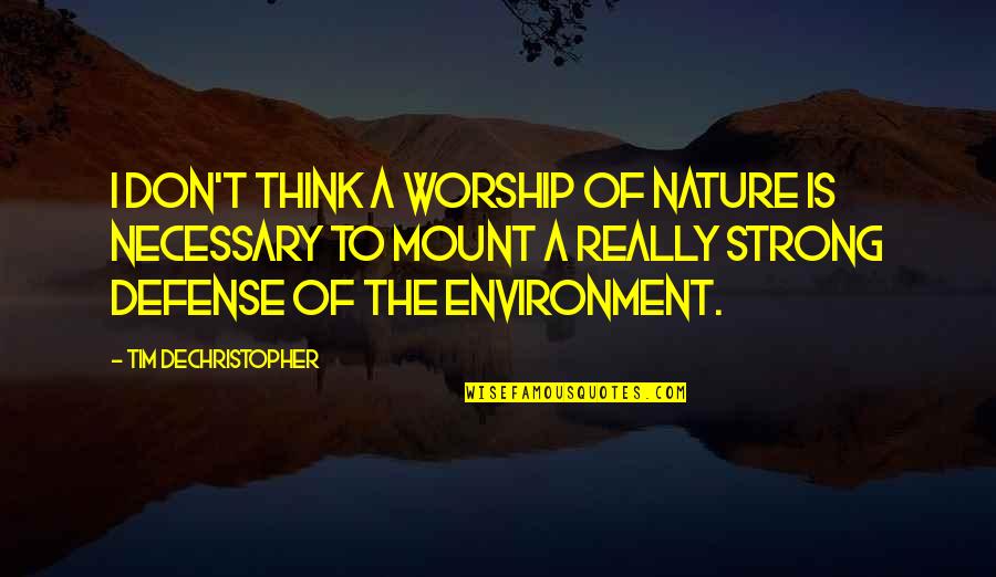 Mount Quotes By Tim DeChristopher: I don't think a worship of nature is