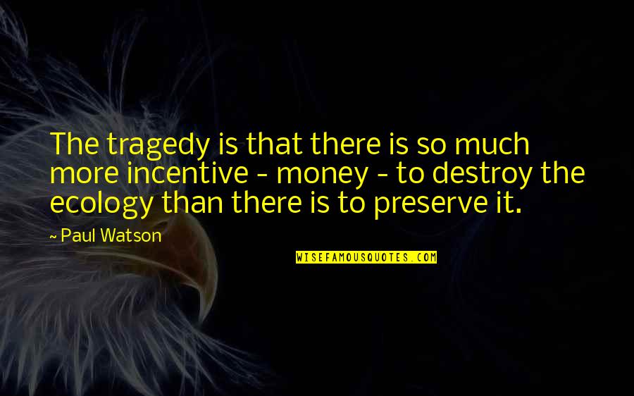 Mount Tambora Quotes By Paul Watson: The tragedy is that there is so much