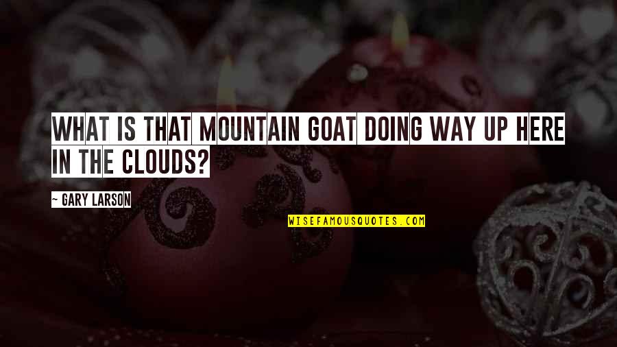 Mountain Goat Quotes By Gary Larson: What is that mountain goat doing way up