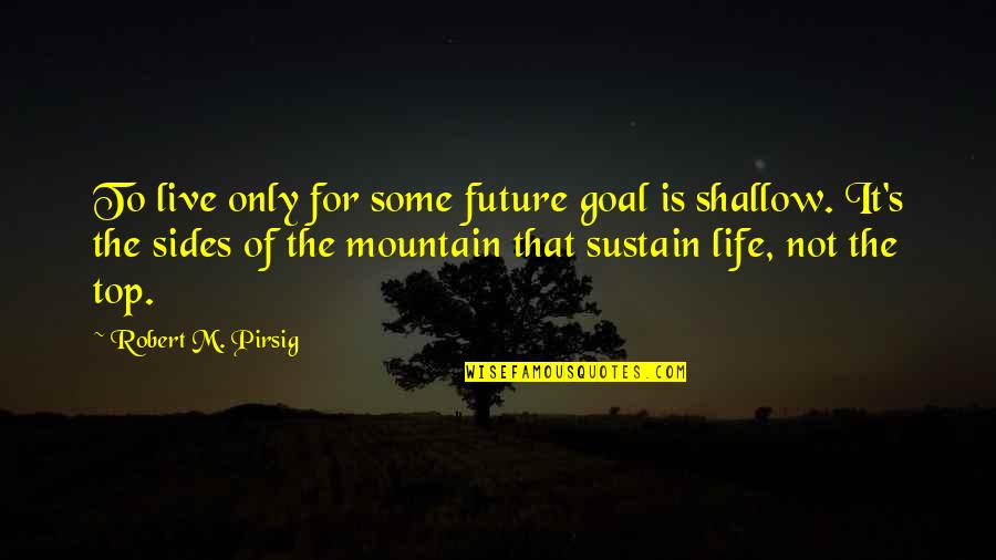 Mountain Life Quotes By Robert M. Pirsig: To live only for some future goal is