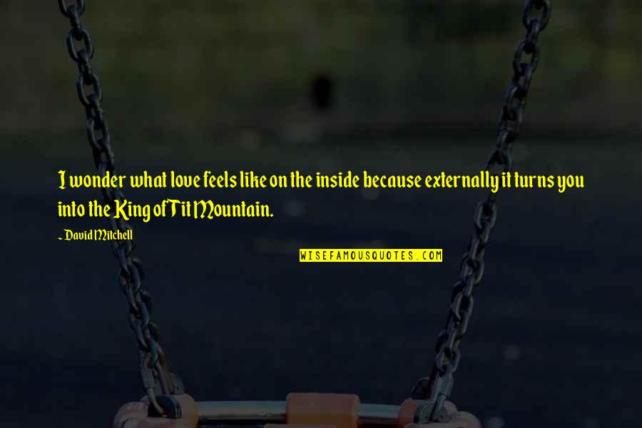 Mountain Of Love Quotes By David Mitchell: I wonder what love feels like on the Mountain Of Love Quotes By David Mitchell: I wonder what love feels like on the