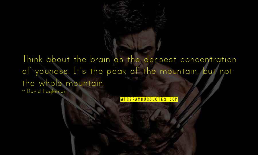 Mountain Peak Quotes By David Eagleman: Think about the brain as the densest concentration