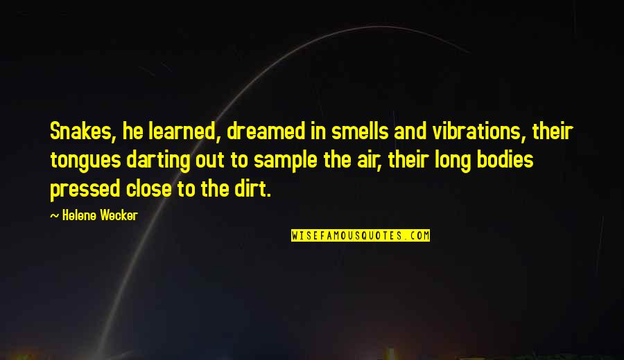 Mountain Trail Quotes By Helene Wecker: Snakes, he learned, dreamed in smells and vibrations, Mountain Trail Quotes By Helene Wecker: Snakes, he learned, dreamed in smells and vibrations,