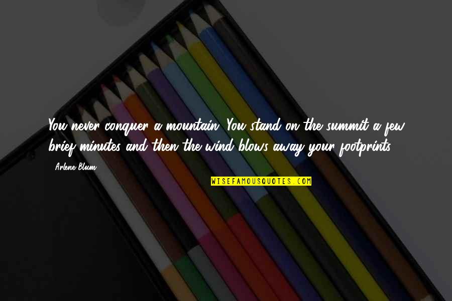 Mountain Wind Quotes By Arlene Blum: You never conquer a mountain. You stand on Mountain Wind Quotes By Arlene Blum: You never conquer a mountain. You stand on