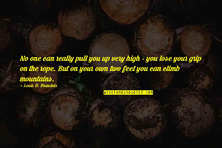 Mountain'd Quotes By Louis D. Brandeis: No one can really pull you up very