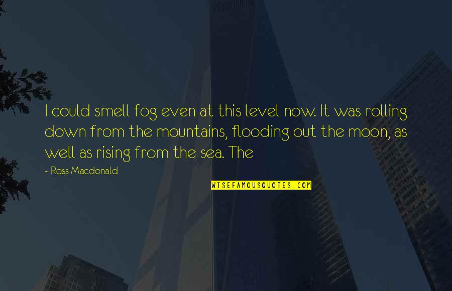 Mountains And The Sea Quotes By Ross Macdonald: I could smell fog even at this level