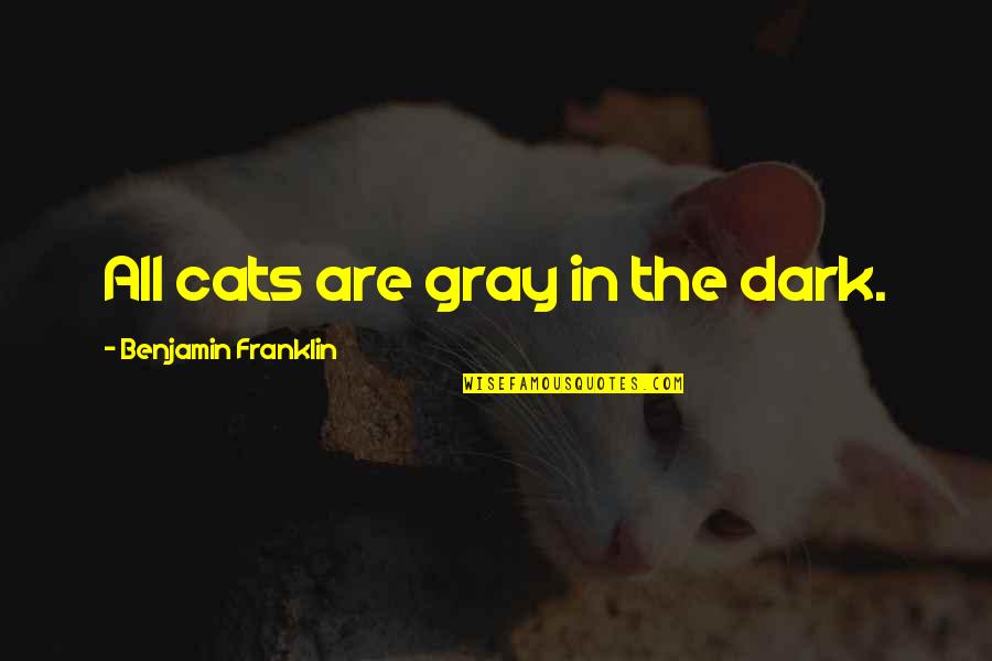 Mountains Funny Quotes By Benjamin Franklin: All cats are gray in the dark.