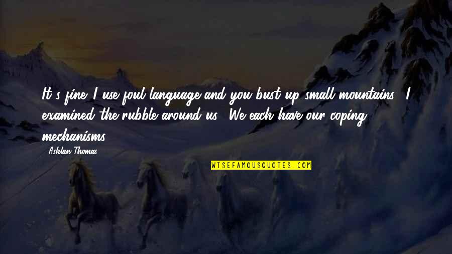 Mountains We Quotes By Ashlan Thomas: It's fine. I use foul language and you Mountains We Quotes By Ashlan Thomas: It's fine. I use foul language and you
