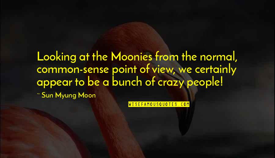 Mountantonakis Quotes By Sun Myung Moon: Looking at the Moonies from the normal, common-sense
