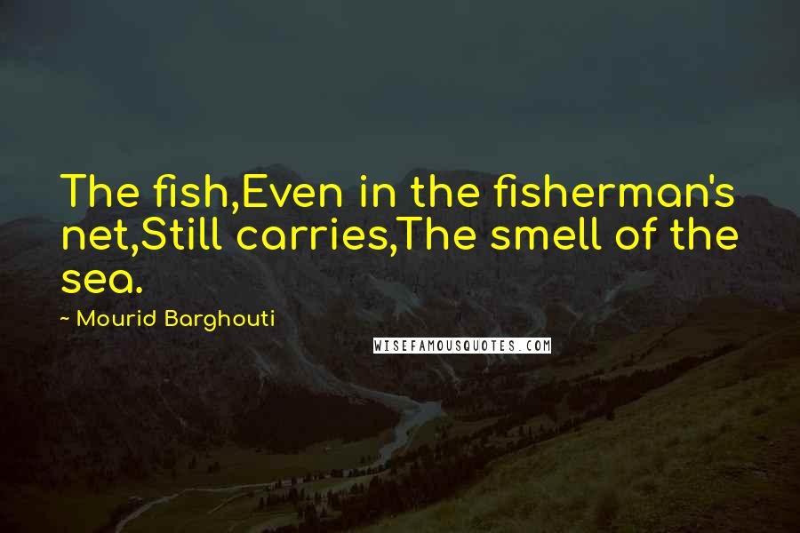 Mourid Barghouti quotes: The fish,Even in the fisherman's net,Still carries,The smell of the sea.