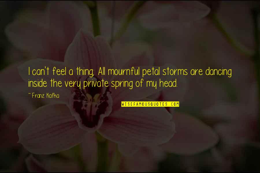 Mournful Quotes By Franz Kafka: I can't feel a thing; All mournful petal