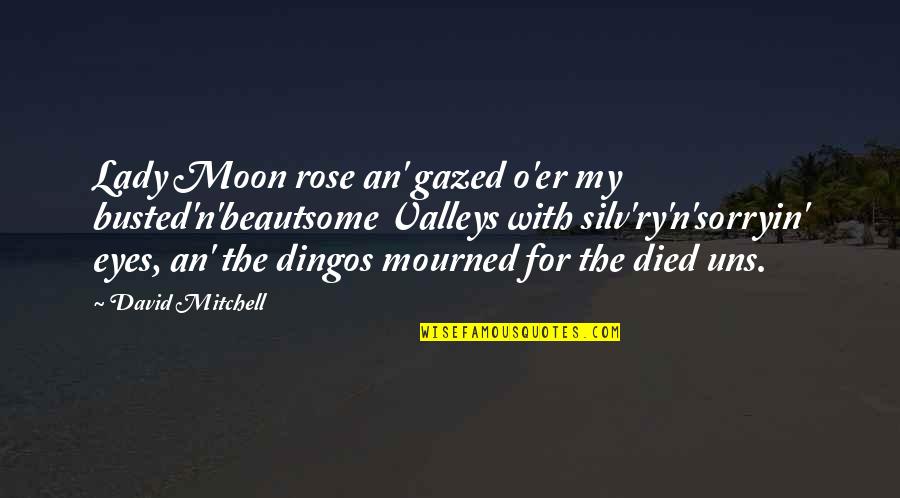 Mourning A Death Quotes By David Mitchell: Lady Moon rose an' gazed o'er my busted'n'beautsome