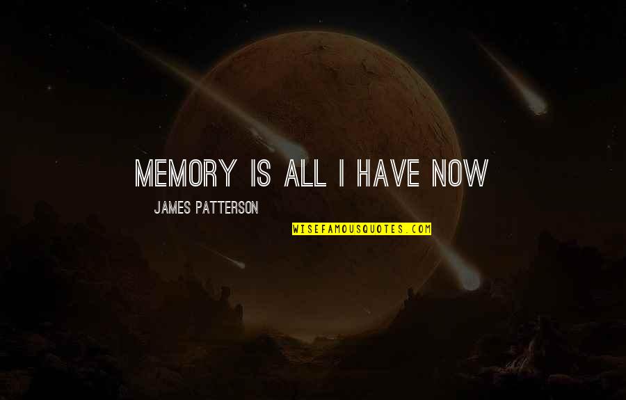 Mourning Quotes By James Patterson: Memory is all I have now