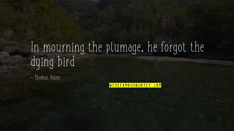Mourning Quotes By Thomas Paine: In mourning the plumage, he forgot the dying Mourning Quotes By Thomas Paine: In mourning the plumage, he forgot the dying