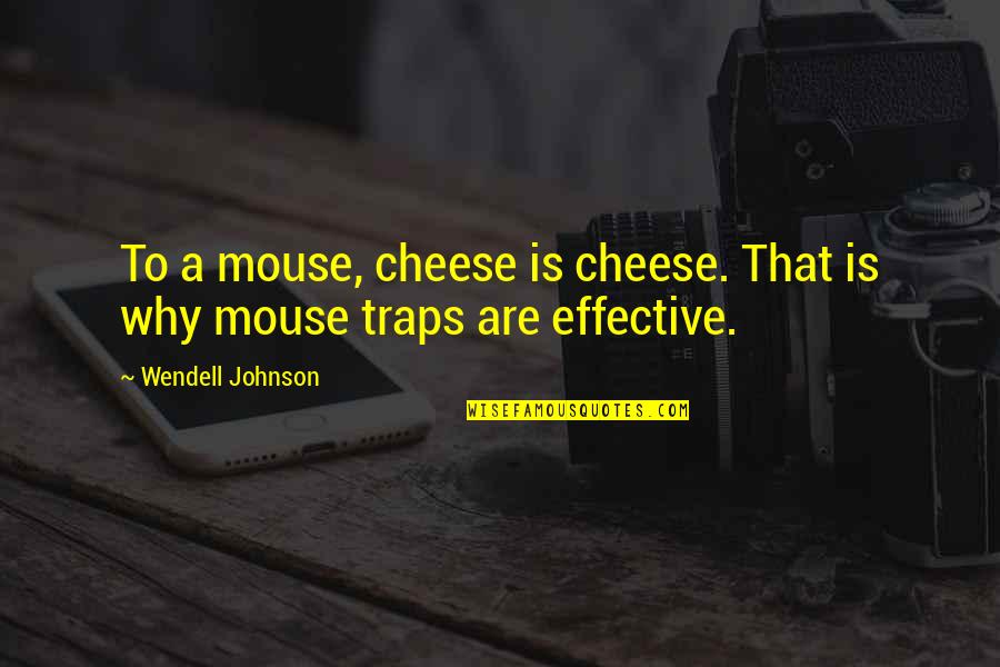 Mouse And Cheese Quotes By Wendell Johnson: To a mouse, cheese is cheese. That is Mouse And Cheese Quotes By Wendell Johnson: To a mouse, cheese is cheese. That is