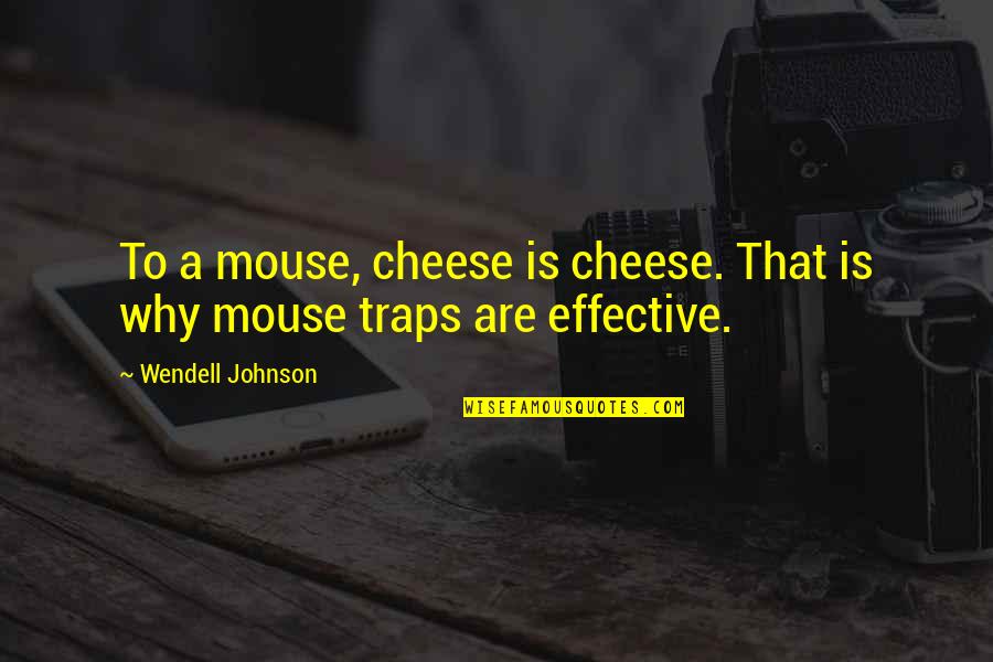 Mouse And Cheese Quotes By Wendell Johnson: To a mouse, cheese is cheese. That is