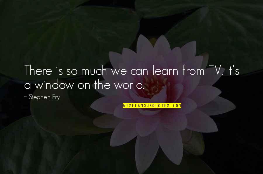 Moustaki Youtube Quotes By Stephen Fry: There is so much we can learn from