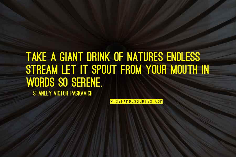 Mouth And Words Quotes By Stanley Victor Paskavich: Take a giant drink of natures endless stream