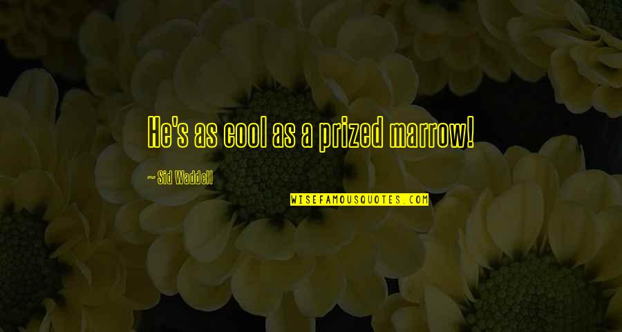 Mouth Watering Quotes By Sid Waddell: He's as cool as a prized marrow!