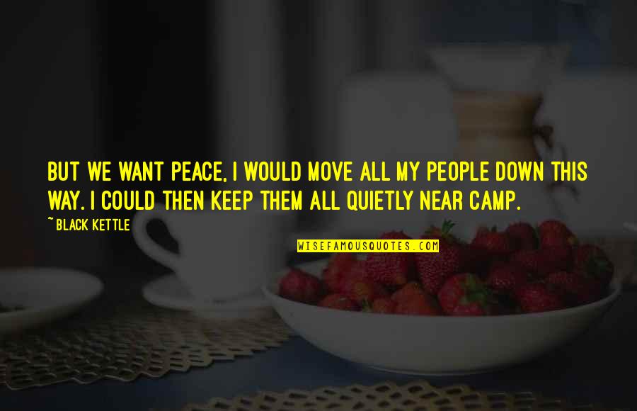 Move Quietly Quotes By Black Kettle: But we want peace, I would move all