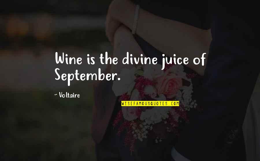 Move Sideways Quotes By Voltaire: Wine is the divine juice of September.
