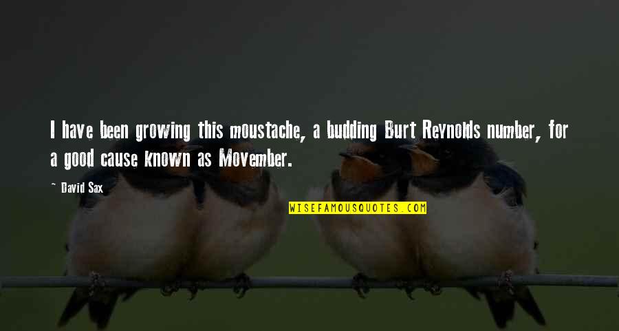 Movember Moustache Quotes By David Sax: I have been growing this moustache, a budding