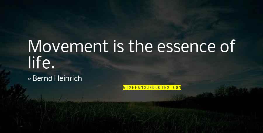 Movement Of Life Quotes By Bernd Heinrich: Movement is the essence of life.