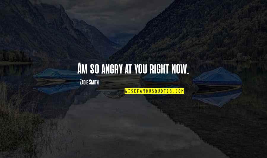 Moves Mountains Quotes By Zadie Smith: Am so angry at you right now.
