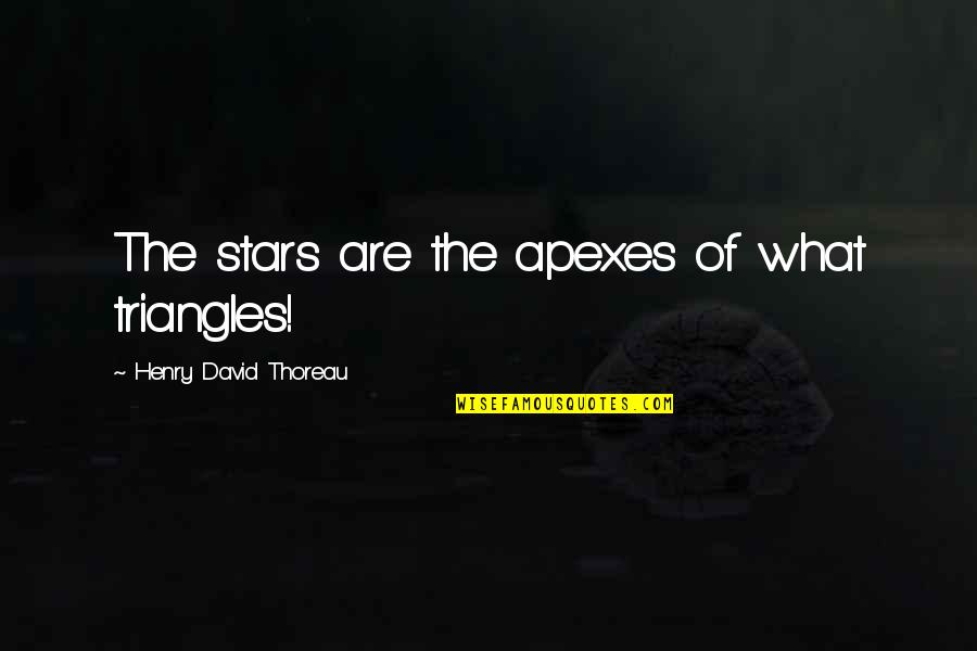 Movie Reference Quotes By Henry David Thoreau: The stars are the apexes of what triangles!