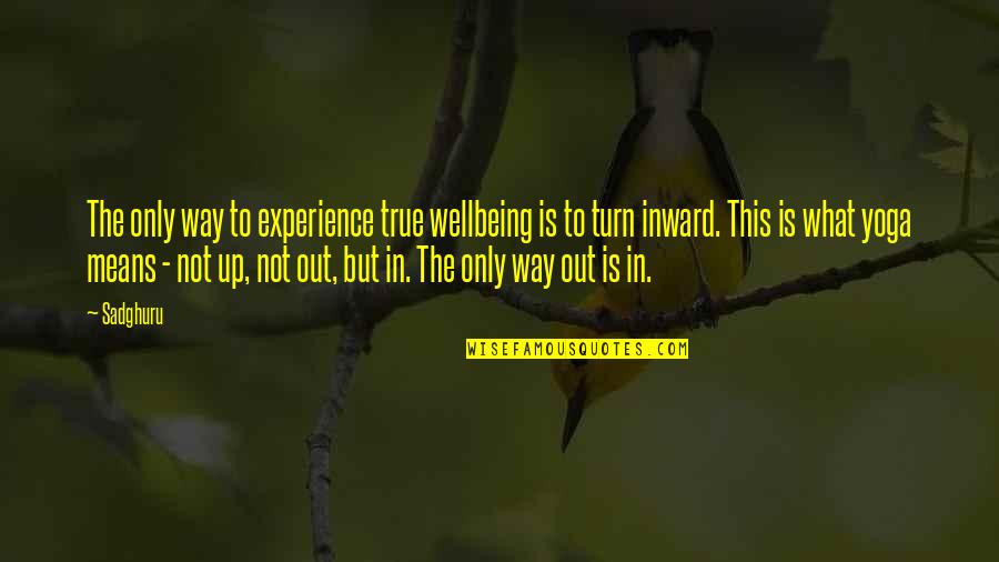 Moviegoing Experience Quotes By Sadghuru: The only way to experience true wellbeing is Moviegoing Experience Quotes By Sadghuru: The only way to experience true wellbeing is